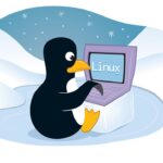 Linux Hız Testi