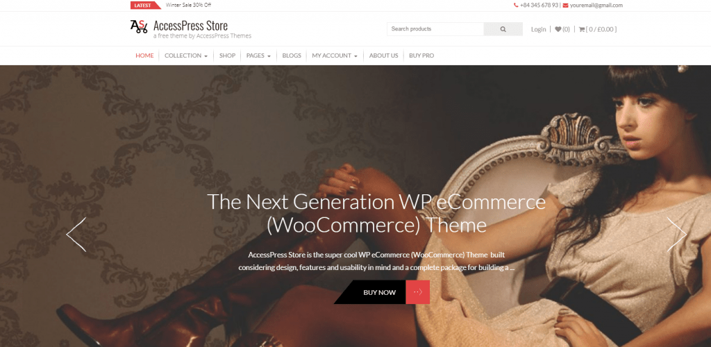 En iyi ücretsiz WordPress Ticaret Woocommerce Temaları 6